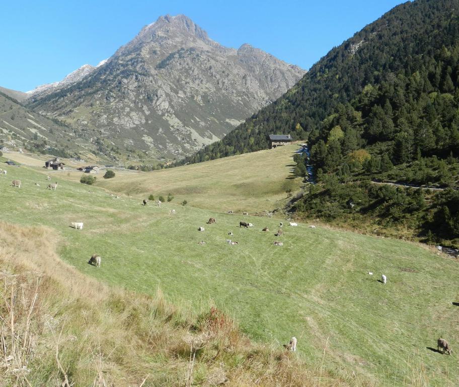 Hotel Peretol Soldeu Buitenkant foto